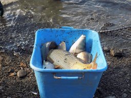 img-20221025-wa0025